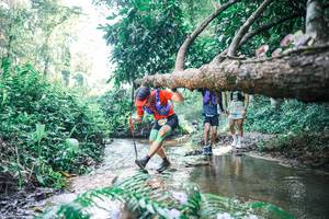 BIB: 
                            <button type="button" onclick="openModal(25439250)" class="btn btn-primary btn-sm float-right btn-popup" data-toggle="modal" data-target=".modal-high-quality">
                        <i class="fas fa-shopping-cart"></i> Add to Cart
                    </button>
                                            <button type="button" onclick="isThisMe(25439250, true)" class="btn btn-success btn-sm float-right btn-popup btn-isme hidden" data-toggle="tooltip" data-placement="bottom" title="นี่คือรูปของคุณใช่ไหม คลิกที่นี่เพื่อเอาเข้าอัลบั้ม">
                        <i class="fas fa-plus"></i> Add to album
                    </button>
                    <button type="button" onclick="isThisMe(25439250, false)" class="btn btn-warning btn-sm float-right btn-popup btn-isnotme hidden">
                        <i class="fas fa-ban"></i> Remove from album
                    </button>